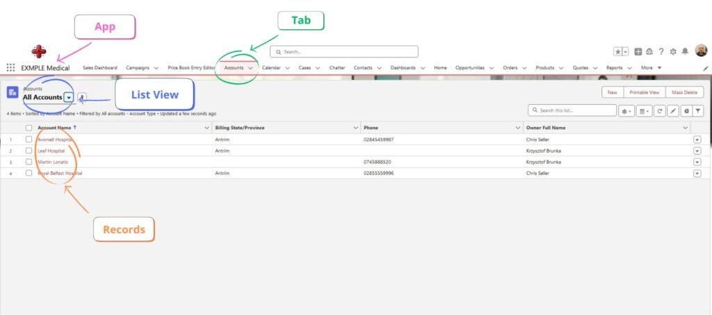 Salesforce Glossary - App, Tab, List View, Records